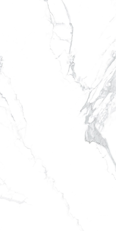 图 1